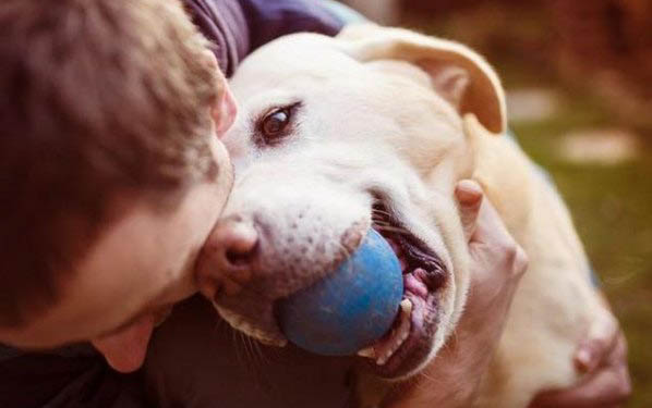 如何给狗狗选择犬粮