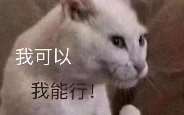 小猫肛门处沾屎怎么清理