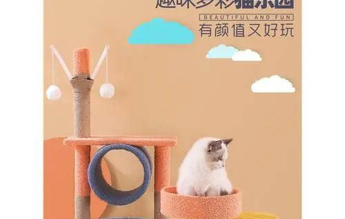 猫咪突然拉稀的原因及处理方法