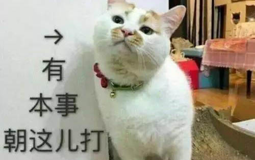 猫咪吐清水有白沫